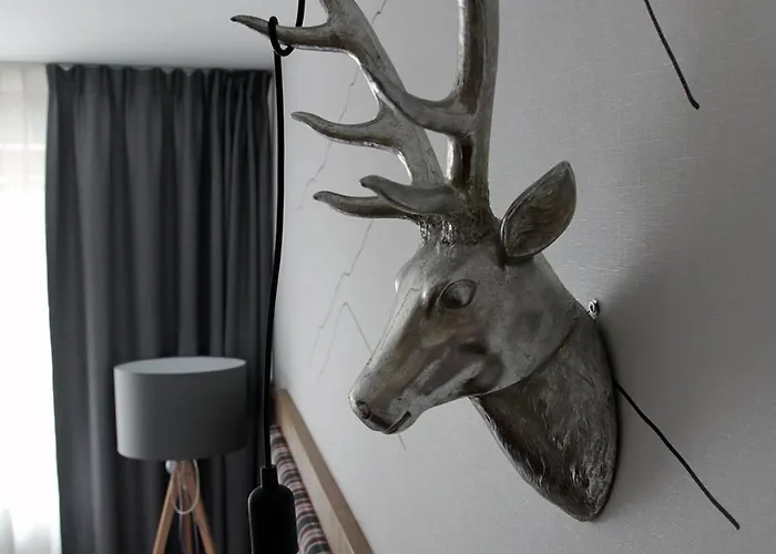 Apartament Aniołówka *